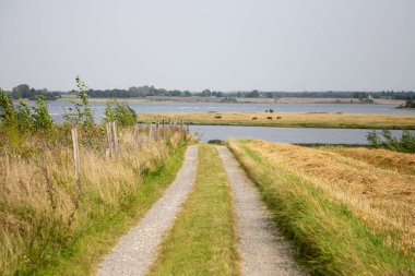 Güney Danimarka 'nın ormanları ve manzaraları boyunca kırsal döngü yolu