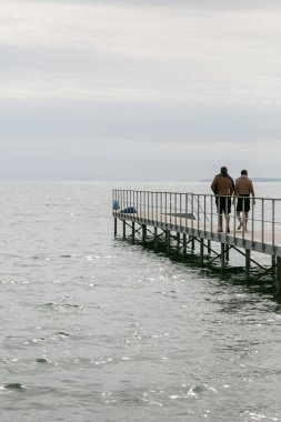 Danimarka 'daki Baltık Denizi sahilinde ahşap banyo geçidi..