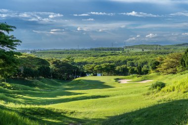 Golf sahasının manzarası, golf sahasının manzarası zengin yeşil bir çim manzarası, yeşil çimenler ve bir golf sahasında orman.