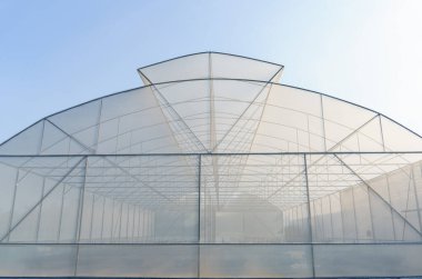 Yeşil çimlerin üzerinde organik sebzeler yetiştirmek için büyük bir sera bulunmaktadır. Böceklerin ekilen bölgeye girip yok olmasını engelleyebilir. Organik sebze konsepti..