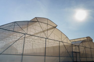 Yeşil çimlerin üzerinde organik sebzeler yetiştirmek için büyük bir sera bulunmaktadır. Böceklerin ekilen bölgeye girip yok olmasını engelleyebilir. Organik sebze konsepti..