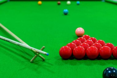 Masadaki bilardo topları kırmızı, siyah, pembe, mavi, yeşil, beyaz, kahverengi ve sarıdan oluşuyordu..