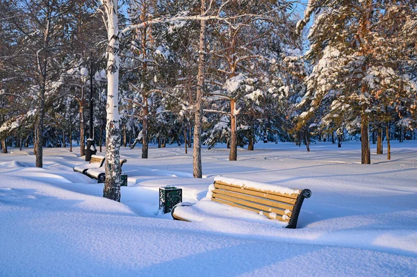 Sihirli orman, gökyüzü ve ağaçların manzarası, kar ve sokaklar. Kış, karla kaplı parka giden yol.