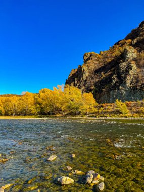 Nehir kıyısı, sonbahar yaprakları. Güneşli sıcak bir gün.