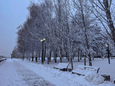 El çizimi siluet, beyaz bir arka planda illüstrasyon. Büyük bir Noel ağacı, bir orman ağacı..