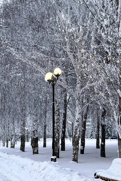 El çizimi siluet, beyaz bir arka planda illüstrasyon. Büyük bir Noel ağacı, bir orman ağacı..