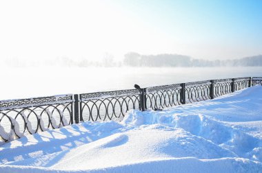 Karlı, buzlu köknar dalları. Karlı kış arkaplanı. Doğal orman ışığı manzarası. Kar yağışı. Güzel, uzun bir ağaç ve yükselen bir gökyüzü. Açık hava parkında buzlu büyülü bir sahne. Güneşli. Parlak bir şekilde. Kar yağışıName. 