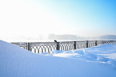 Karlı, buzlu köknar dalları. Karlı kış arkaplanı. Doğal orman ışığı manzarası. Kar yağışı. Güzel, uzun bir ağaç ve yükselen bir gökyüzü. Açık hava parkında buzlu büyülü bir sahne. Güneşli. Parlak bir şekilde. Kar yağışıName. 