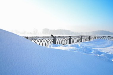 Karlı, buzlu köknar dalları. Karlı kış arkaplanı. Doğal orman ışığı manzarası. Kar yağışı. Güzel, uzun bir ağaç ve yükselen bir gökyüzü. Açık hava parkında buzlu büyülü bir sahne. Güneşli. Parlak bir şekilde. Kar yağışıName. 