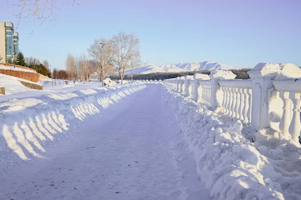Karlı, buzlu köknar dalları. Karlı kış arkaplanı. Doğal orman ışığı manzarası. Kar yağışı. Güzel, uzun bir ağaç ve yükselen bir gökyüzü. Açık hava parkında buzlu büyülü bir sahne. Güneşli. Parlak bir şekilde. Kar yağışıName. 