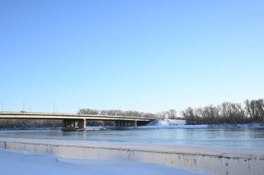 Karlı, buzlu köknar dalları. Karlı kış arkaplanı. Doğal orman ışığı manzarası. Kar yağışı. Güzel, uzun bir ağaç ve yükselen bir gökyüzü. Açık hava parkında buzlu büyülü bir sahne. Güneşli. Parlak bir şekilde. Kar yağışıName. 