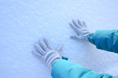 Karlı, buzlu köknar dalları. Karlı kış arkaplanı. Doğal orman ışığı manzarası. Kar yağışı. Güzel, uzun bir ağaç ve yükselen bir gökyüzü. Açık hava parkında buzlu büyülü bir sahne. Güneşli. Parlak bir şekilde. Kar yağışıName. 
