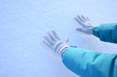 Karlı, buzlu köknar dalları. Karlı kış arkaplanı. Doğal orman ışığı manzarası. Kar yağışı. Güzel, uzun bir ağaç ve yükselen bir gökyüzü. Açık hava parkında buzlu büyülü bir sahne. Güneşli. Parlak bir şekilde. Kar yağışıName. 