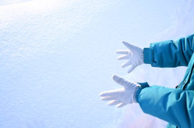 Karlı, buzlu köknar dalları. Karlı kış arkaplanı. Doğal orman ışığı manzarası. Kar yağışı. Güzel, uzun bir ağaç ve yükselen bir gökyüzü. Açık hava parkında buzlu büyülü bir sahne. Güneşli. Parlak bir şekilde. Kar yağışıName. 