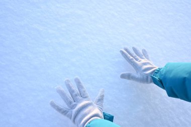 Karlı, buzlu köknar dalları. Karlı kış arkaplanı. Doğal orman ışığı manzarası. Kar yağışı. Güzel, uzun bir ağaç ve yükselen bir gökyüzü. Açık hava parkında buzlu büyülü bir sahne. Güneşli. Parlak bir şekilde. Kar yağışıName. 