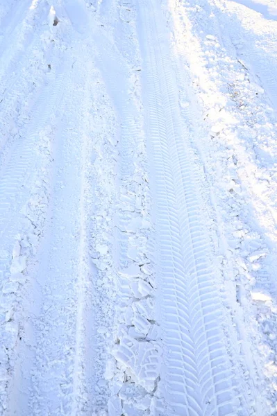 Karlı, buzlu köknar dalları. Karlı kış arkaplanı. Doğal orman ışığı manzarası. Kar yağışı. Güzel, uzun bir ağaç ve yükselen bir gökyüzü. Açık hava parkında buzlu büyülü bir sahne. Güneşli. Parlak bir şekilde. Kar yağışıName. 