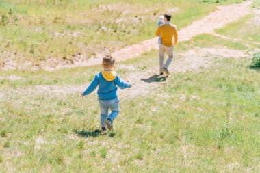 A boy of three years old follows his father carrying his youngest daughter in his arms along a green hilly lawn on a sunny day, view from the back