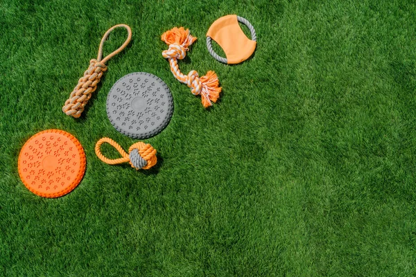 Set of orange rag and rubber toys for dogs on synthetic grass, layout, hard light