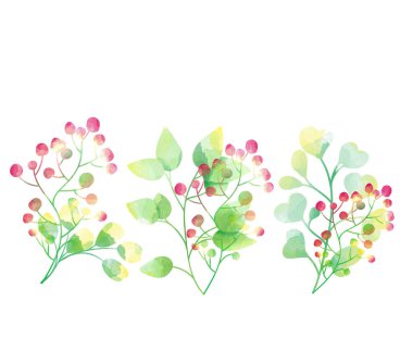 Watercolor hand painted botanical flowers. Aquarelle wild flower for background, texture, wrapper pattern, frame, border or mockup. Artistic botanical illustration