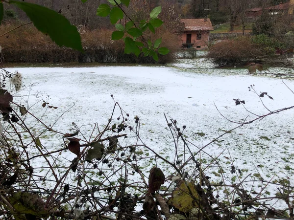 Very soft autumn snow on the backyard of a house in Lombardia