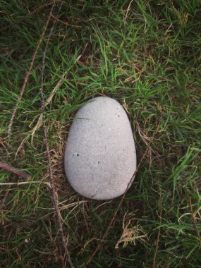 Bir taşın üzerindeki yeşil ve beyaz yumurtanın yakın plan çekimi.