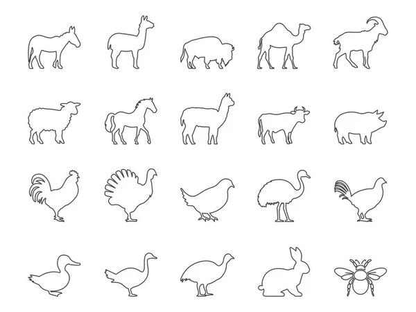 农场动物和牲畜图标设置 可编辑的中风 简单的病媒收集 — 图库矢量图片