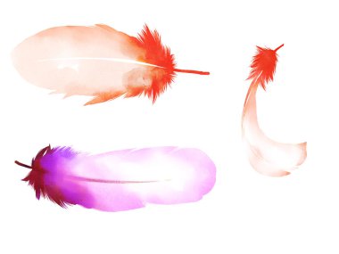 Pembe kuş tüyü beyaz arkaplanda izole edildi