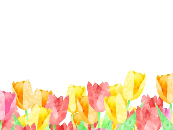 Lale duvar kağıdı, çerçeve. Suluboya resim.