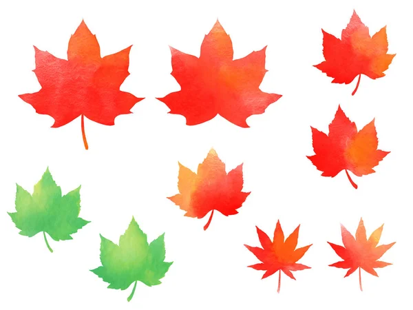 Watercolor Red Maple Leaves Isolated White Background — Stock Photo, Image