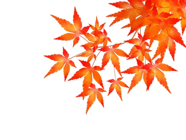 Red leaves. (with branches) Watercolor. Autumn 