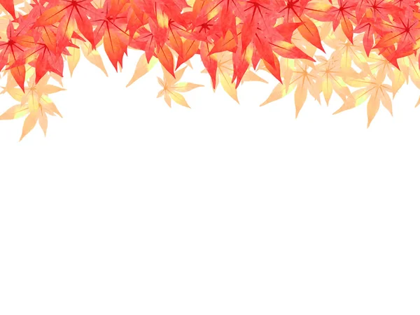 Японский Кленовый Лист Фона — стоковое фото