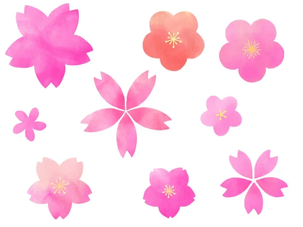 Rose Fleur Aquarelle Ensemble Design Floral — Photo