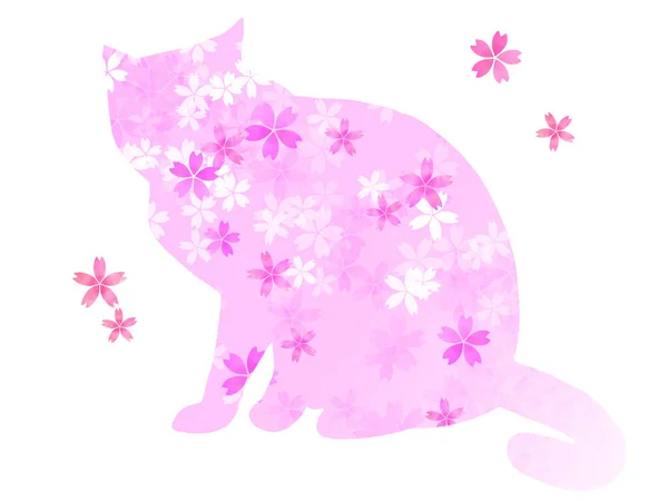 Třešňové Květy Kočka — Stock fotografie