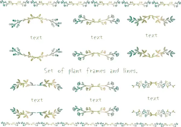 El boyası bitki çerçevesi, çizgi seti.