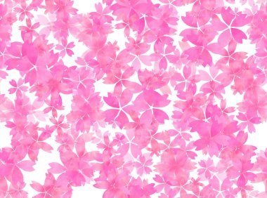 Kiraz çiçeği duvar kağıdı. (Kusursuz) Pembe.