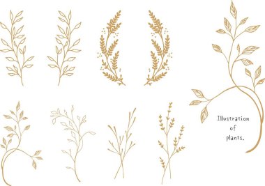 A set of hand-drawn plants and trees. Light brown. clipart