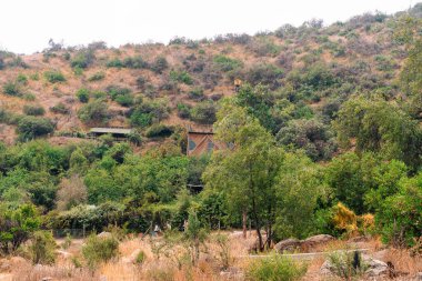 Güneşli bir günde küçük bir dağ nehri manzarası.