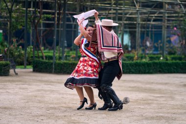 Şilili huasolar gibi giyinmiş, açık havada neşeyle dans eden genç bir çiftin portresi. Geleneksel Şili dansı. Şili gelenekleri, kutlamalar.
