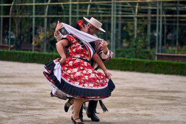 Şilili huasolar gibi giyinmiş, açık havada neşeyle dans eden genç bir çiftin portresi. Geleneksel Şili dansı. Şili gelenekleri, kutlamalar.