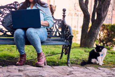 Evinden uzakta, arka bahçesinde dizüstü bilgisayarıyla, kedisinin yanında çalışan güzel bir Latin yönetici ona dokunuyor, neşe, şefkat. Teleçalışma, pazarlama.
