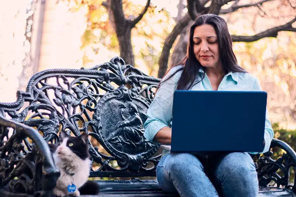 Evinden uzakta, arka bahçesinde dizüstü bilgisayarıyla, kedisinin yanında çalışan güzel bir Latin yönetici ona dokunuyor, neşe, şefkat. Teleçalışma, pazarlama.