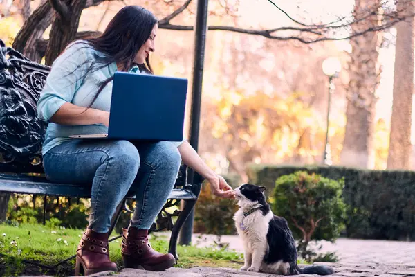 Evinden uzakta, arka bahçesinde dizüstü bilgisayarıyla, kedisinin yanında çalışan güzel bir Latin yönetici ona dokunuyor, neşe, şefkat. Teleçalışma, pazarlama.