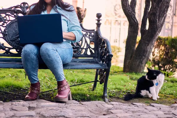 Evinden uzakta, arka bahçesinde dizüstü bilgisayarıyla, kedisinin yanında çalışan güzel bir Latin yönetici ona dokunuyor, neşe, şefkat. Teleçalışma, pazarlama.