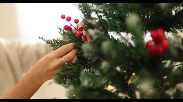 Decorar Árbol Navidad Manos Femeninas Decorando Árbol Navidad Imágenes Alta — Vídeo de stock