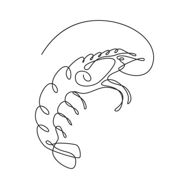 Shrimp vector illustration. White background.