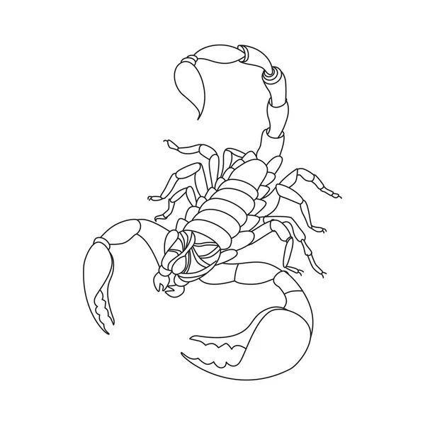 Skorpion Jeden Wiersz Rysunek Wektora — Wektor stockowy