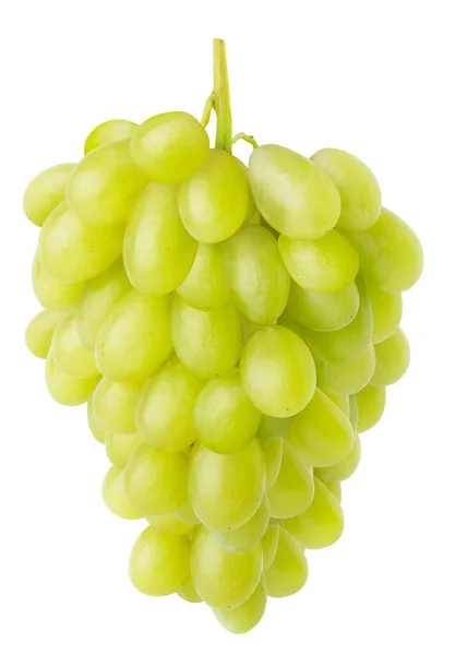 孤立的葡萄 汤普生桌上挂在白色背景上隔离的茎上的白色葡萄 — 图库照片