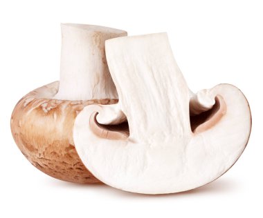 İzole mantarlar. Taze şampiyon mantarı ve yarı izole edilmiş beyaz arka plan, kırpma yolu ile