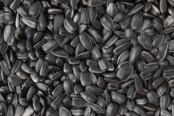 Black sunflower seeds. Texture, background