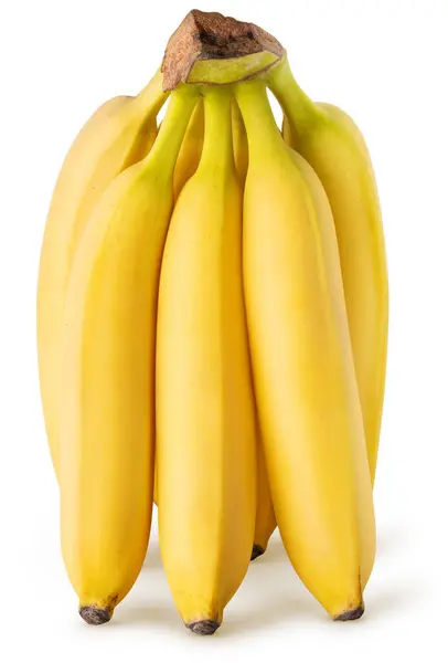 Banano Aislado Manojo Plátanos Posición Vertical Aislados Sobre Fondo Blanco — Foto de Stock